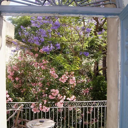 Des Amoureux, La Casamatta Centuri